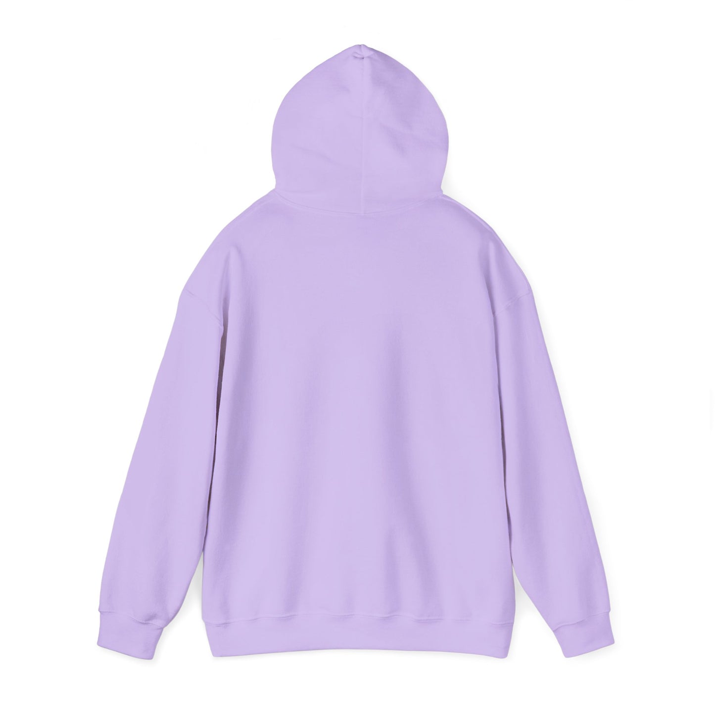 Go Birds Hooded Sweatshirt
