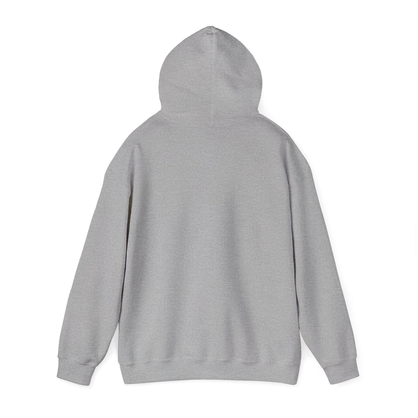 Go Birds Hooded Sweatshirt