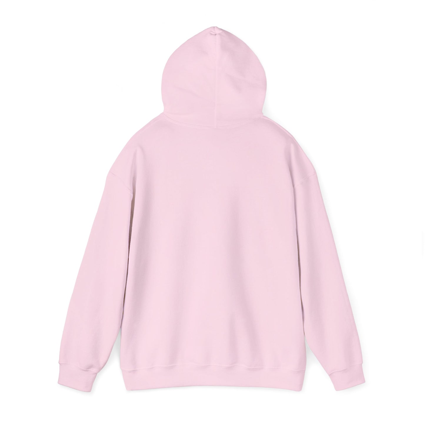 Go Birds Hooded Sweatshirt
