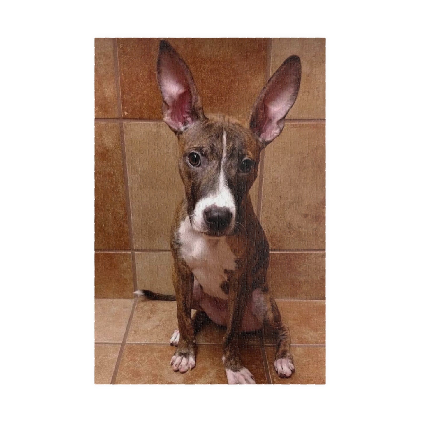 Custom Dog Puzzle - Fun and Engaging Pet-Themed Jigsaw for Dog Lovers