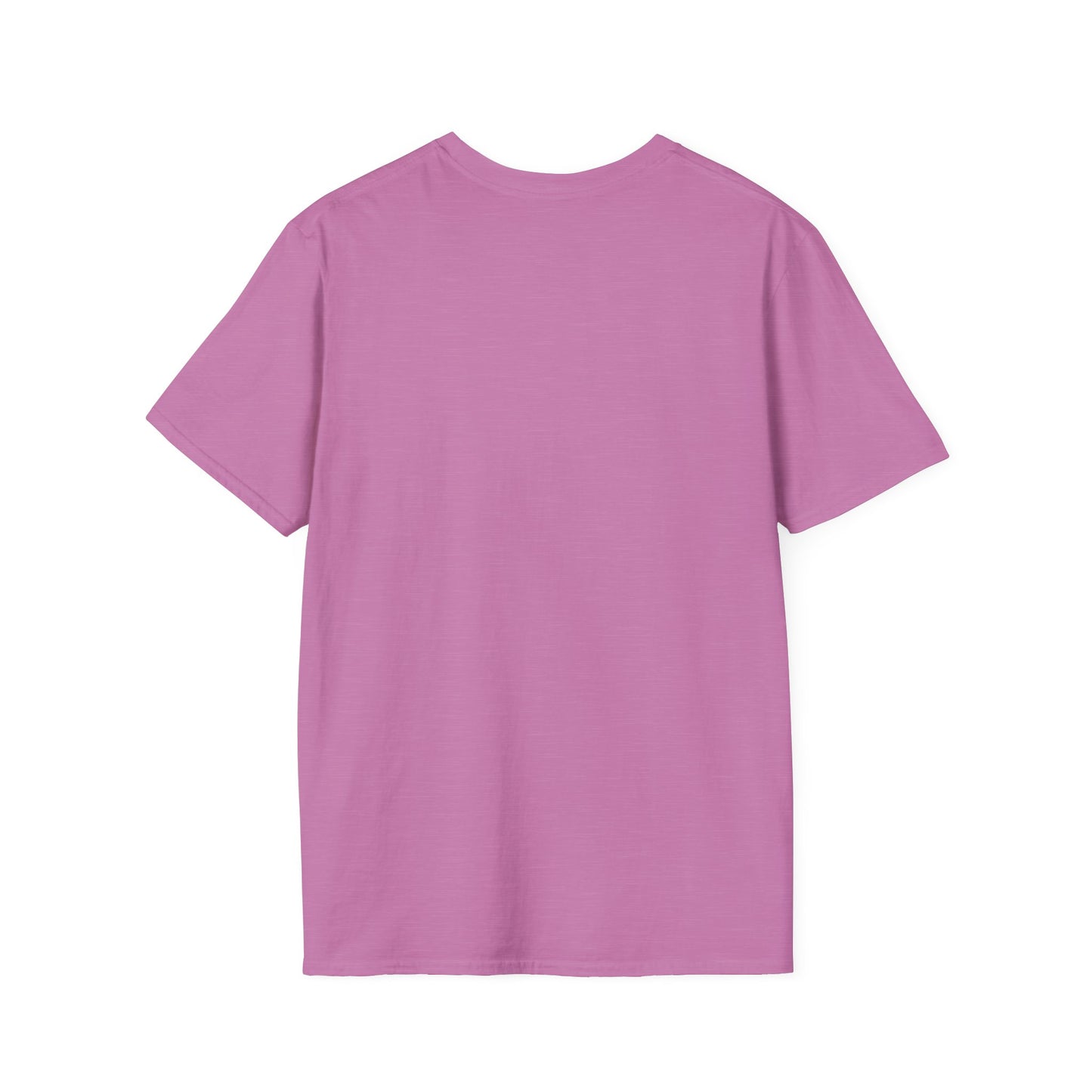 Silly Goose University Soft T-Shirt