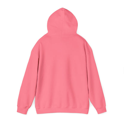 Go Birds Hooded Sweatshirt