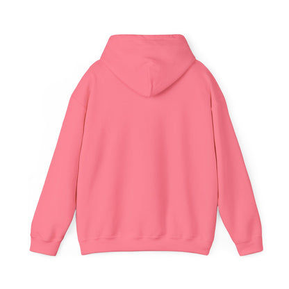 Got Too Silly Hooded Sweatshirt