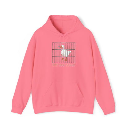 Got Too Silly Hooded Sweatshirt