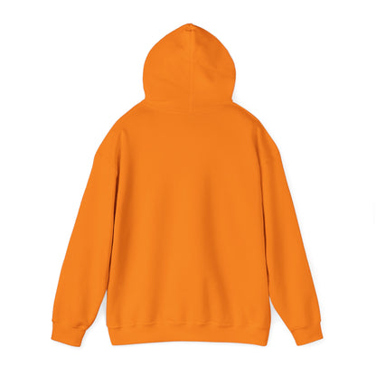 Got Too Silly Hooded Sweatshirt